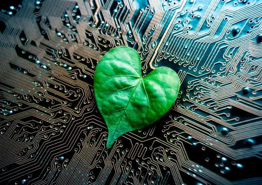 九州体育官网案例